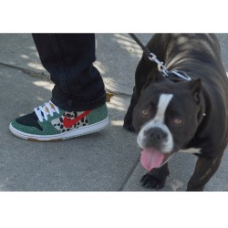Nike sb dog walker mexico cheap