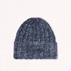 Polar Ali Beanie Blue