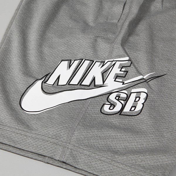 Nike sb dry sunday shorts deals