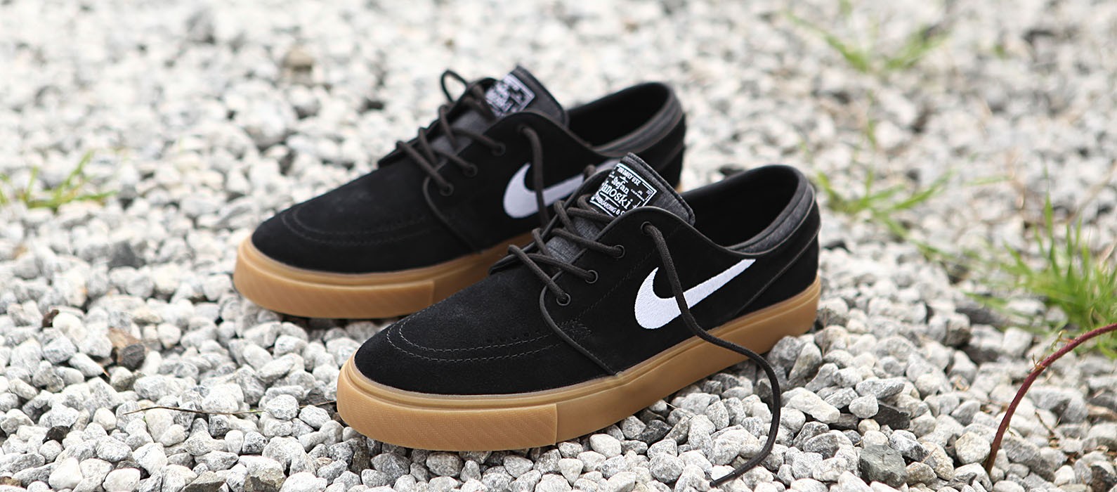 vans nike sb