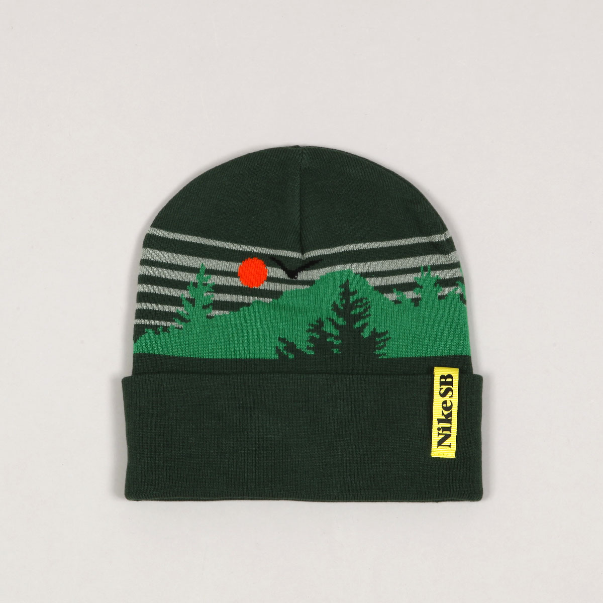 nike sb beanie green